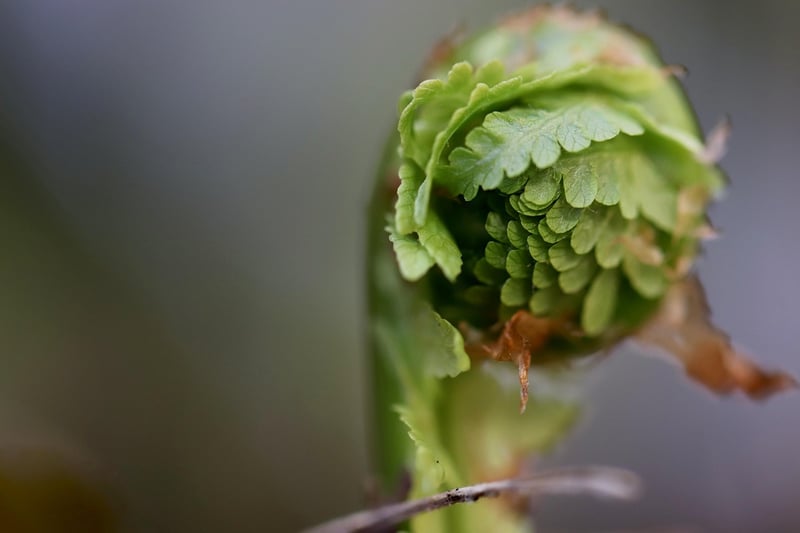 Personal Growth Tips